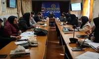 سی‌ودومین جلسه ستاد هماهنگی جوانی جمعیت دانشگاه برگزار شد